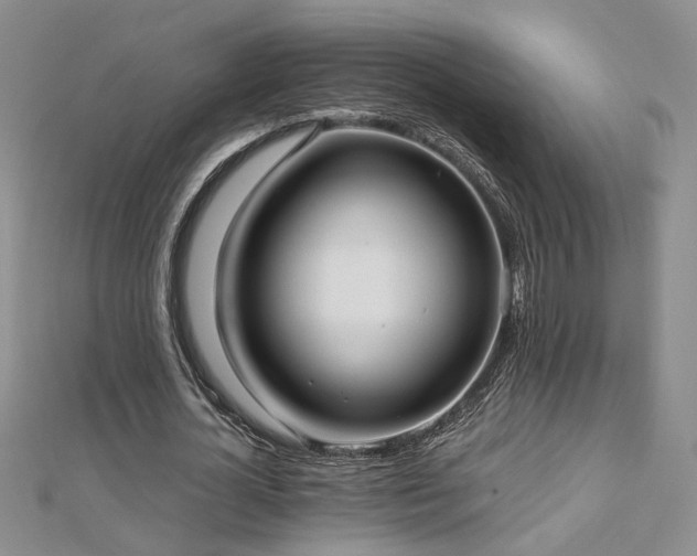 X0000112540724200908171441
