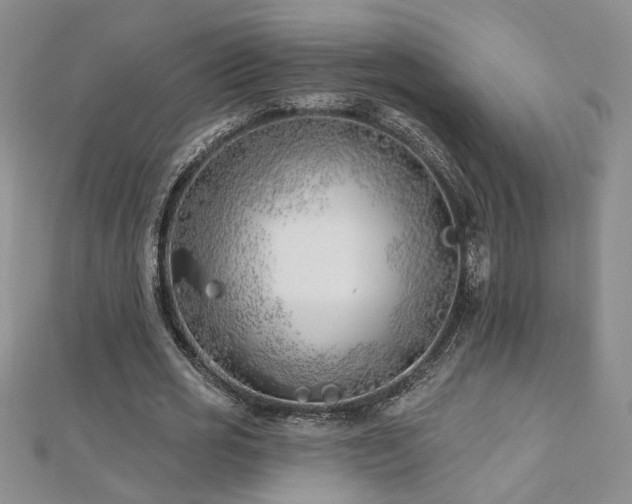 X0000112540725200908171441