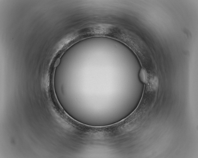 X0000112540726200908171441