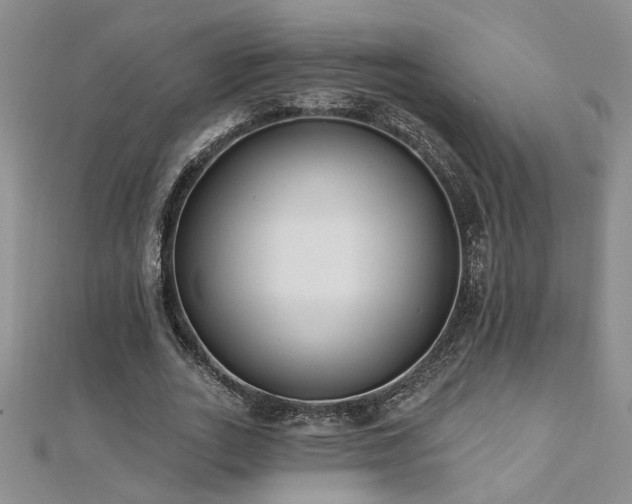 X0000112540727200908171441