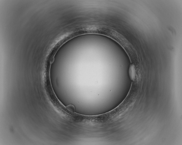 X0000112540728200908171441