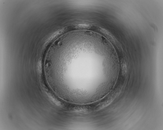 X0000112540729200908171441