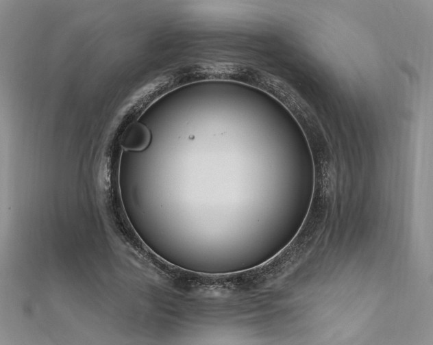 X0000112540731200908171441