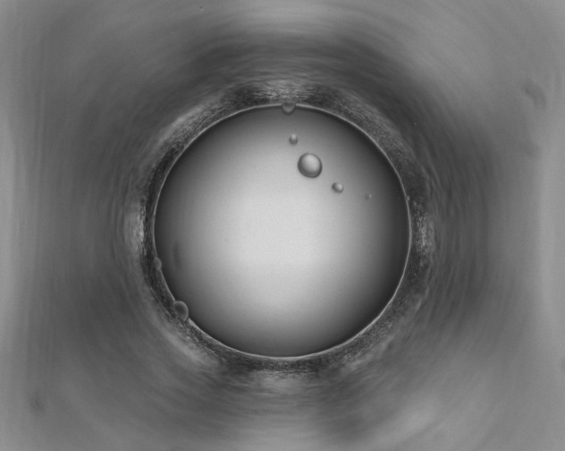 X0000112540733200908171441