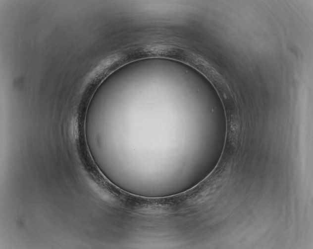 X0000112540734200908171441