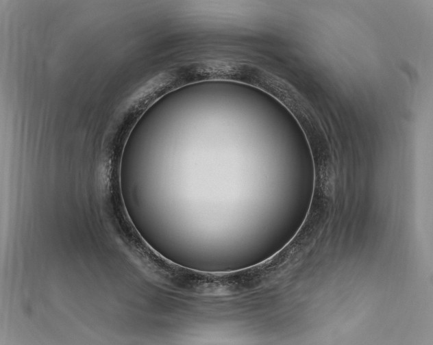 X0000112540735200908171441