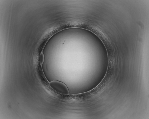X0000112540736200908171441