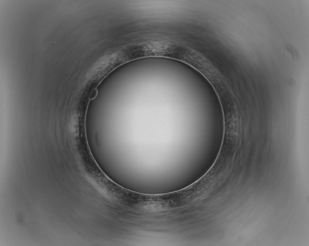 X0000112540738200908171441