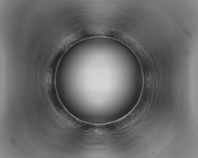 X0000112540739200908171441