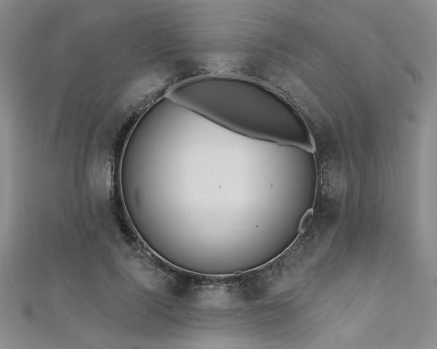 X0000112540740200908171442
