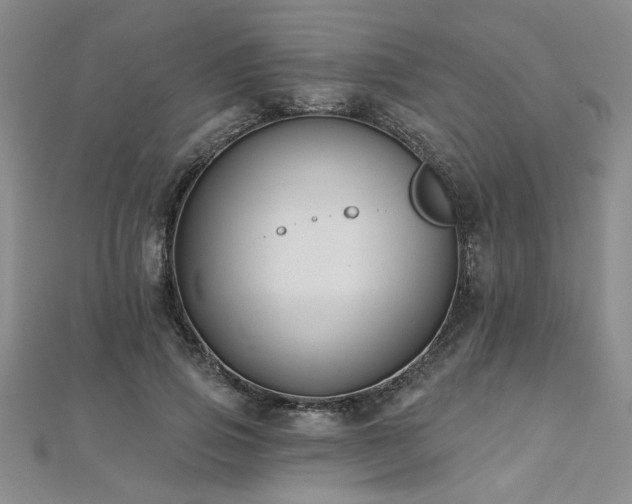 X0000112540741200908171442
