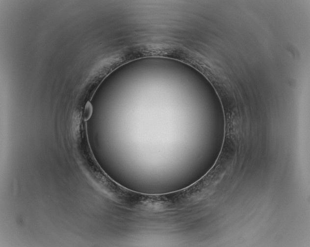 X0000112540742200908171442
