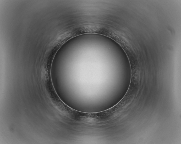 X0000112540743200908171442