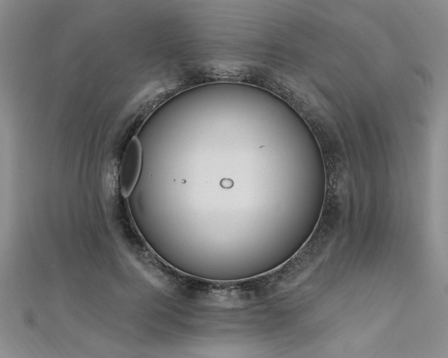 X0000112540744200908171442