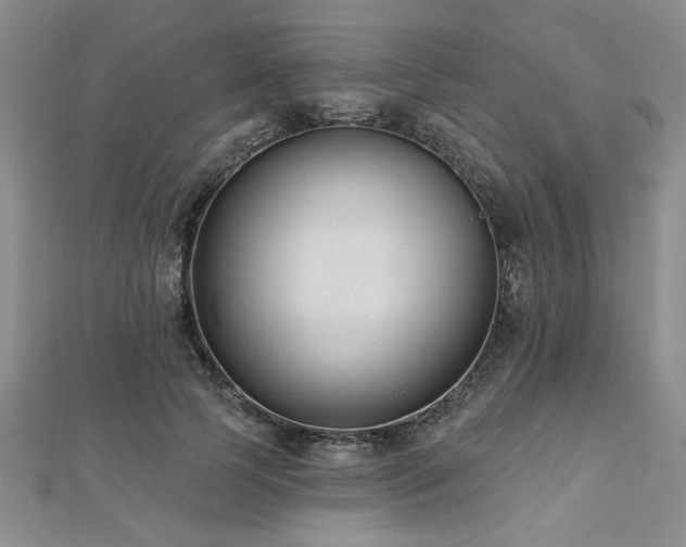X0000112540745200908171442