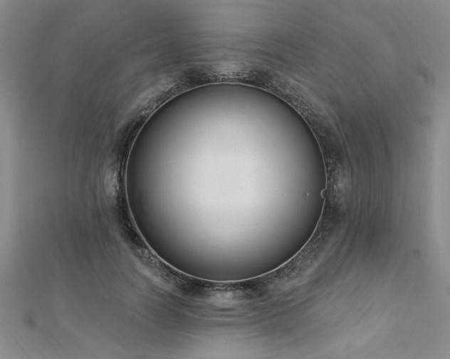 X0000112540746200908171442