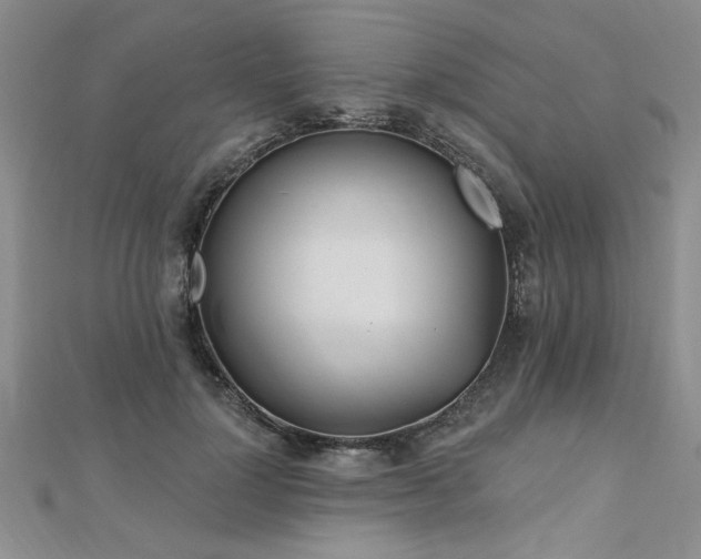 X0000112540748200908171442
