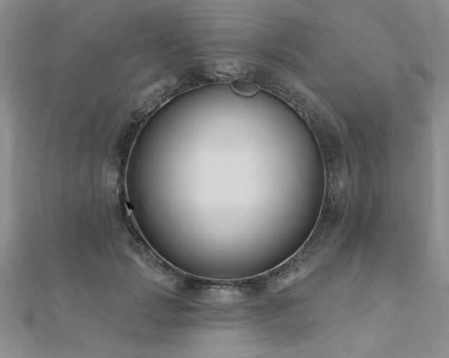 X0000112540749200908171442