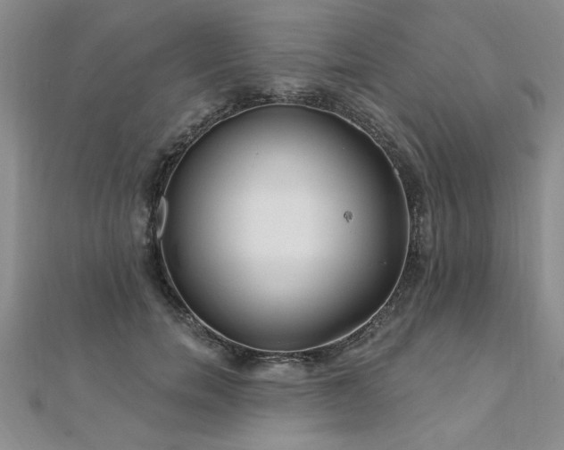X0000112540750200908171442