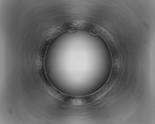 X0000112540751200908171442