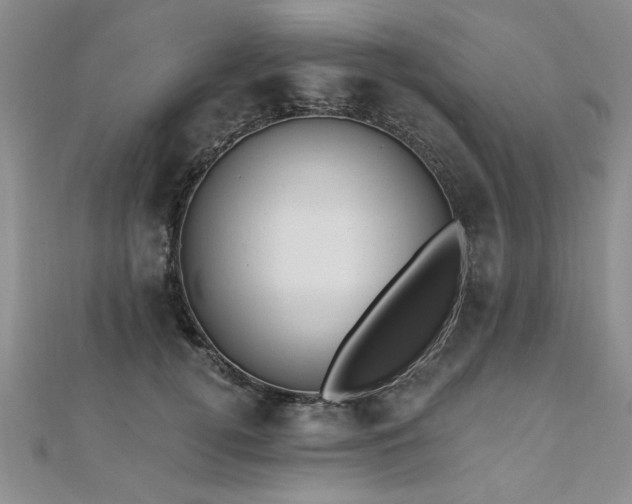 X0000112540752200908171442
