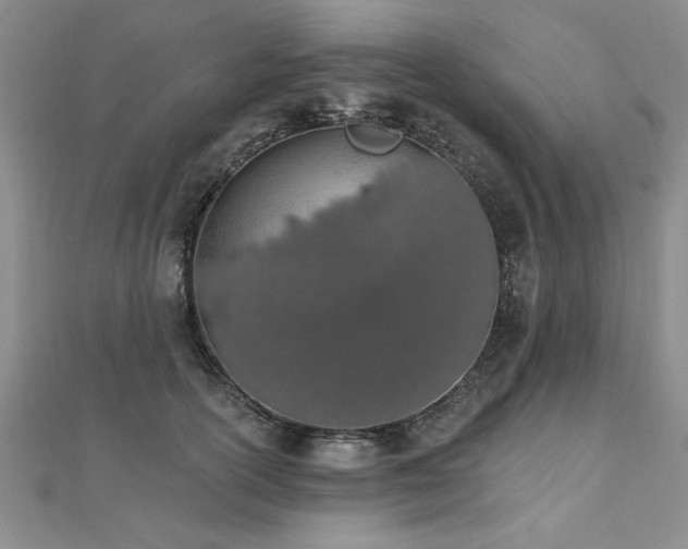 X0000112540754200908171442