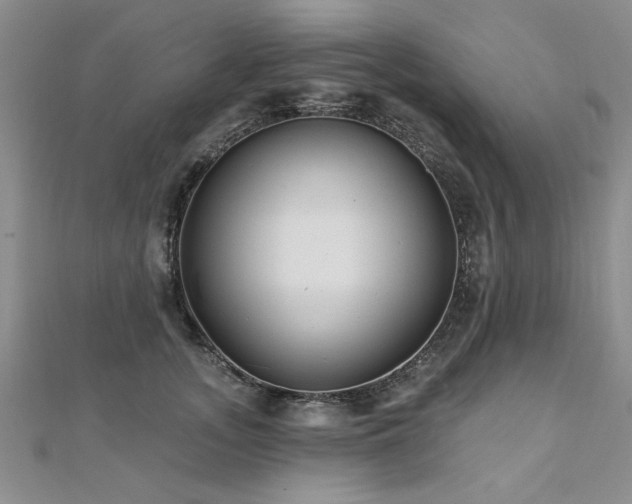 X0000112540755200908171442