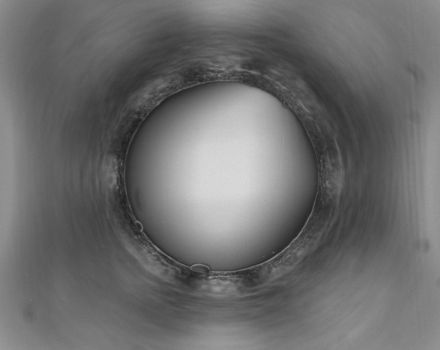 X0000112540758200908171442
