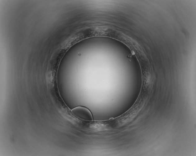 X0000112540759200908171442