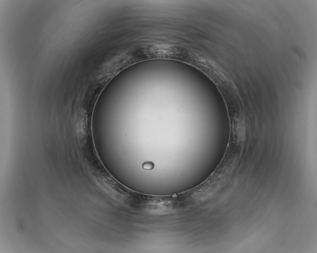 X0000112540760200908171442