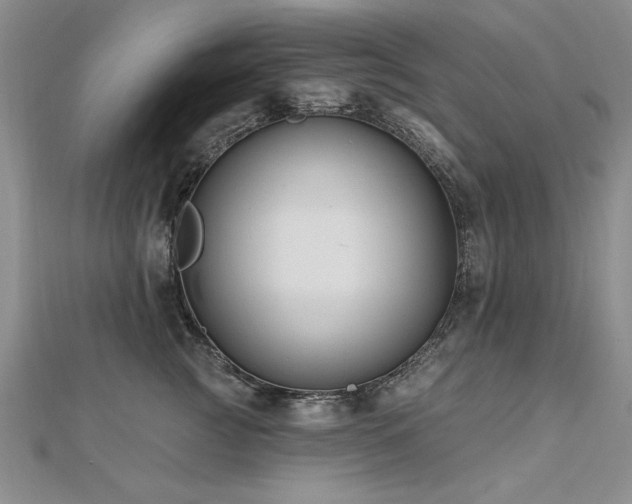 X0000112540761200908171442