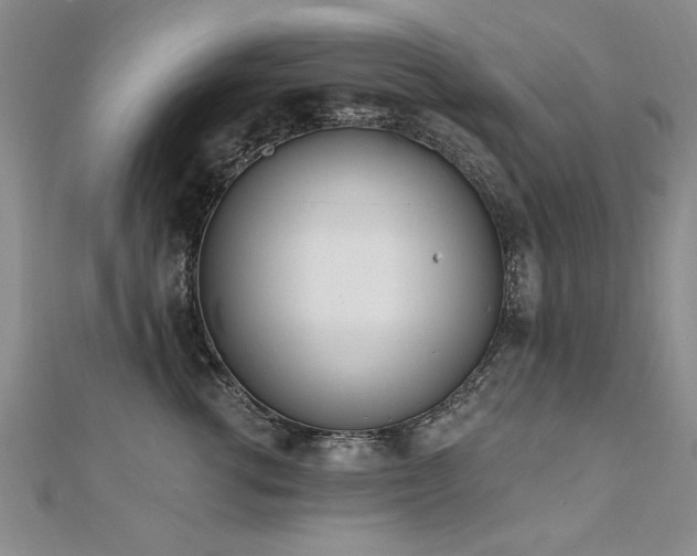 X0000112540762200908171442