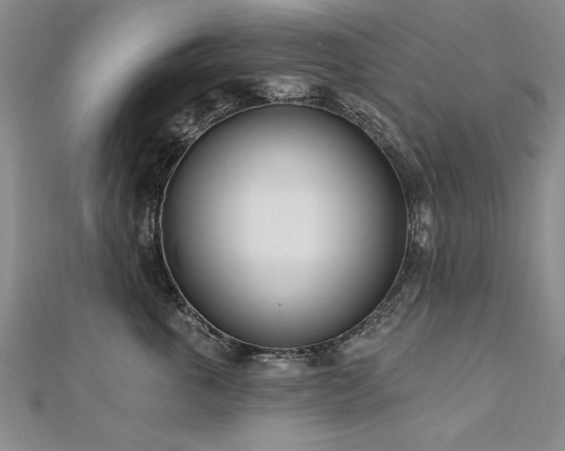 X0000112540763200908171442