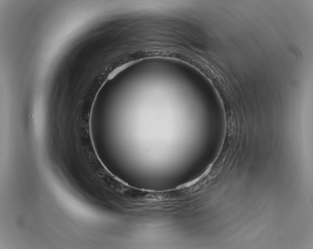 X0000112540764200908171442