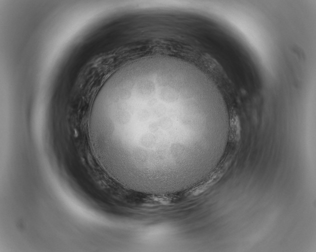 X0000112540765200908171442