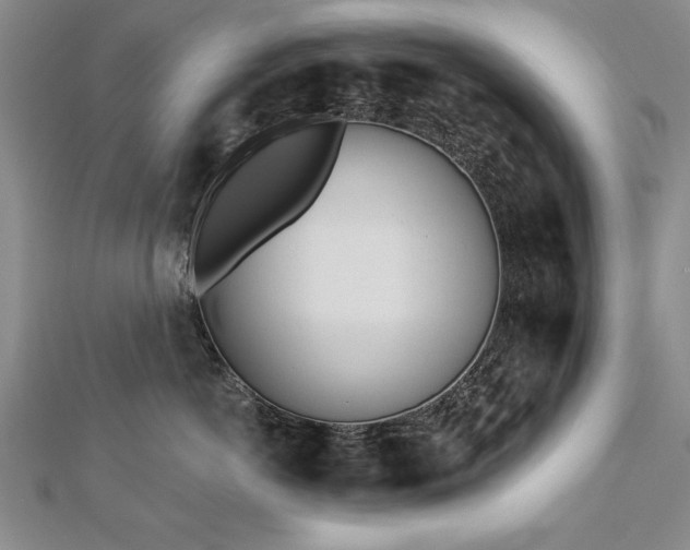 X0000112540766200908171442