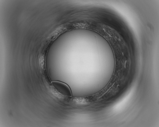 X0000112540767200908171442