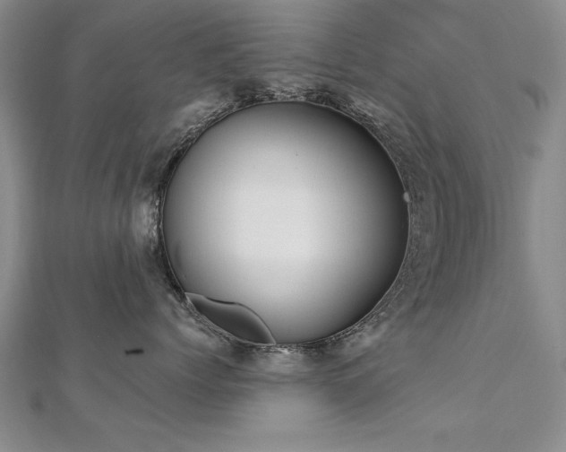 X0000112540768200908171442