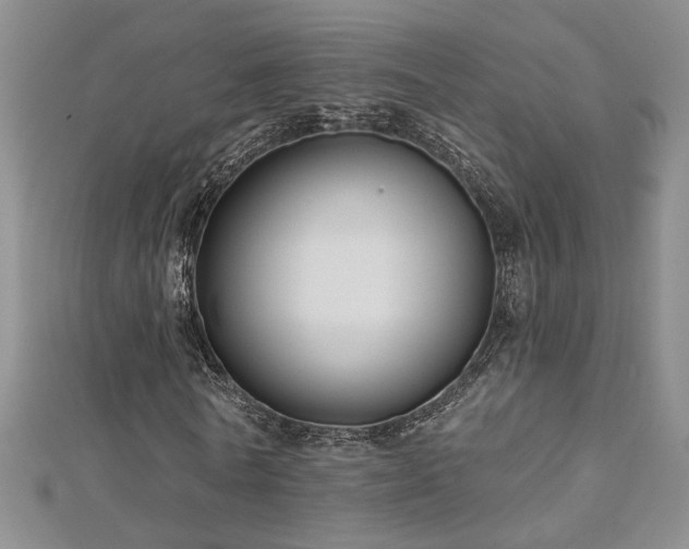X0000112540770200908171441