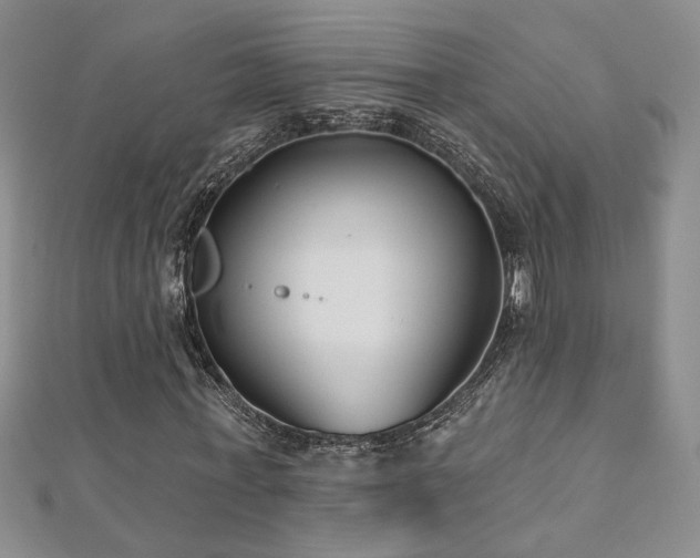 X0000112540771200908171441