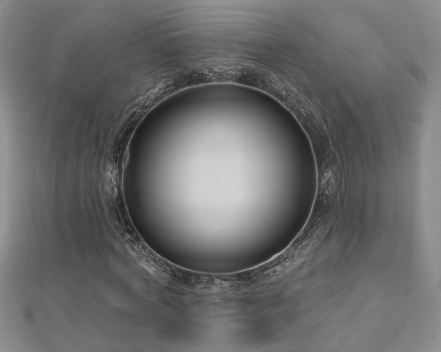 X0000112540772200908171441