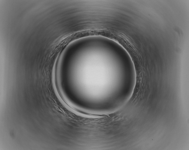 X0000112540773200908171441