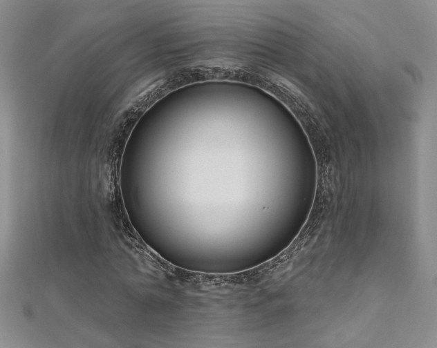 X0000112540774200908171441
