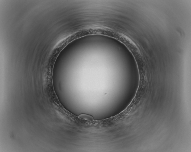 X0000112540775200908171441