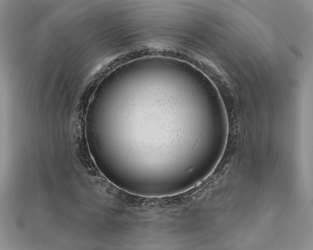 X0000112540776200908171441