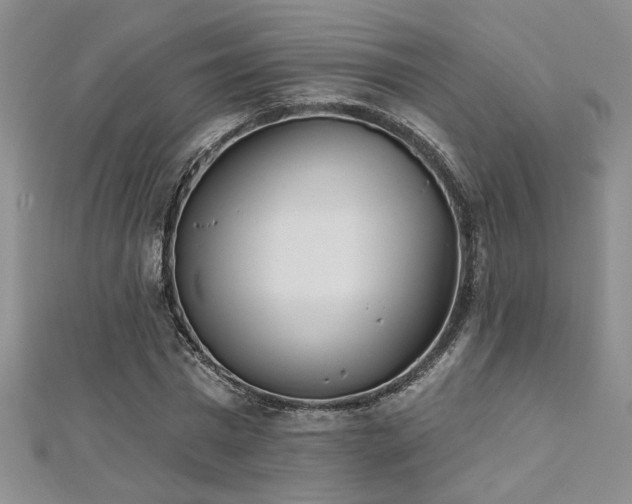 X0000112540777200908171441