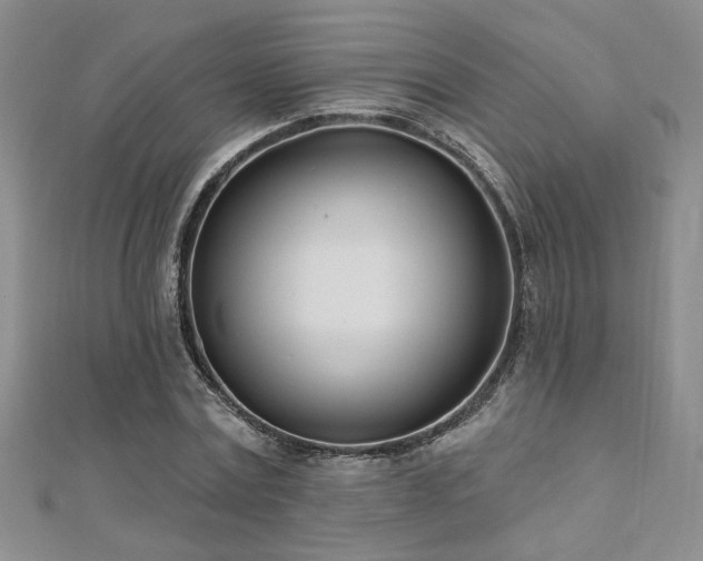 X0000112540779200908171441