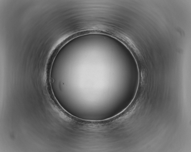 X0000112540780200908171441