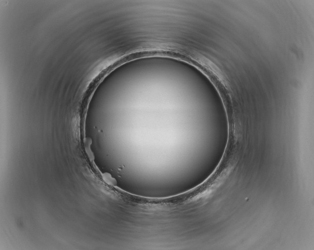 X0000112540781200908171441