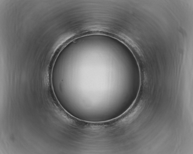 X0000112540782200908171441